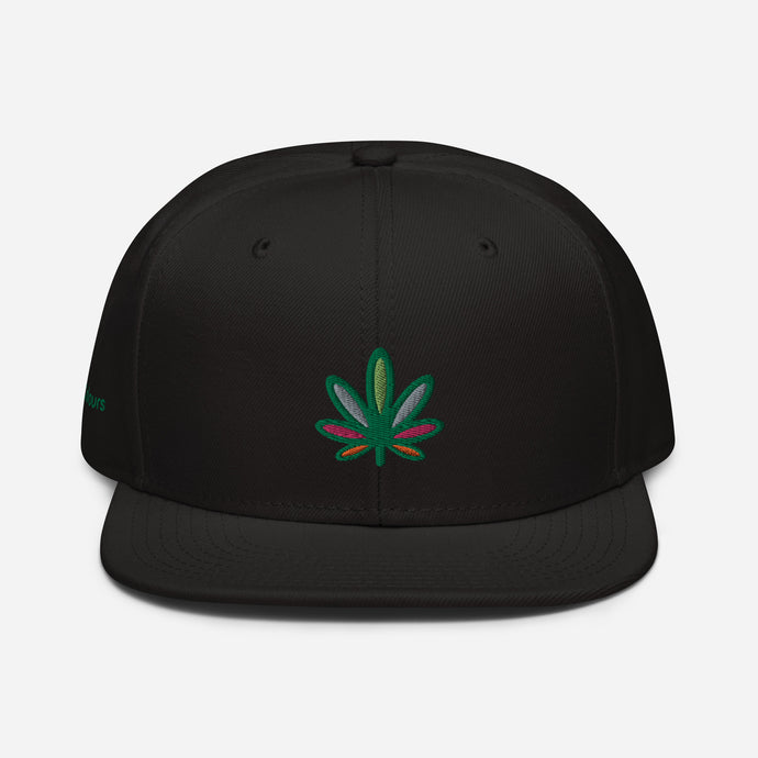 Embroidered Multi-Colored Weed Leaf Flat Bill Snapback Hat | KindCoulors.com
