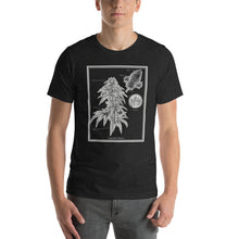 Load image into Gallery viewer, Scientific Cannabis Unisex Staple Tee | Kind Colours, Colorado