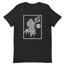 Load image into Gallery viewer, Scientific Cannabis Unisex Staple Tee | Kind Colours, Colorado